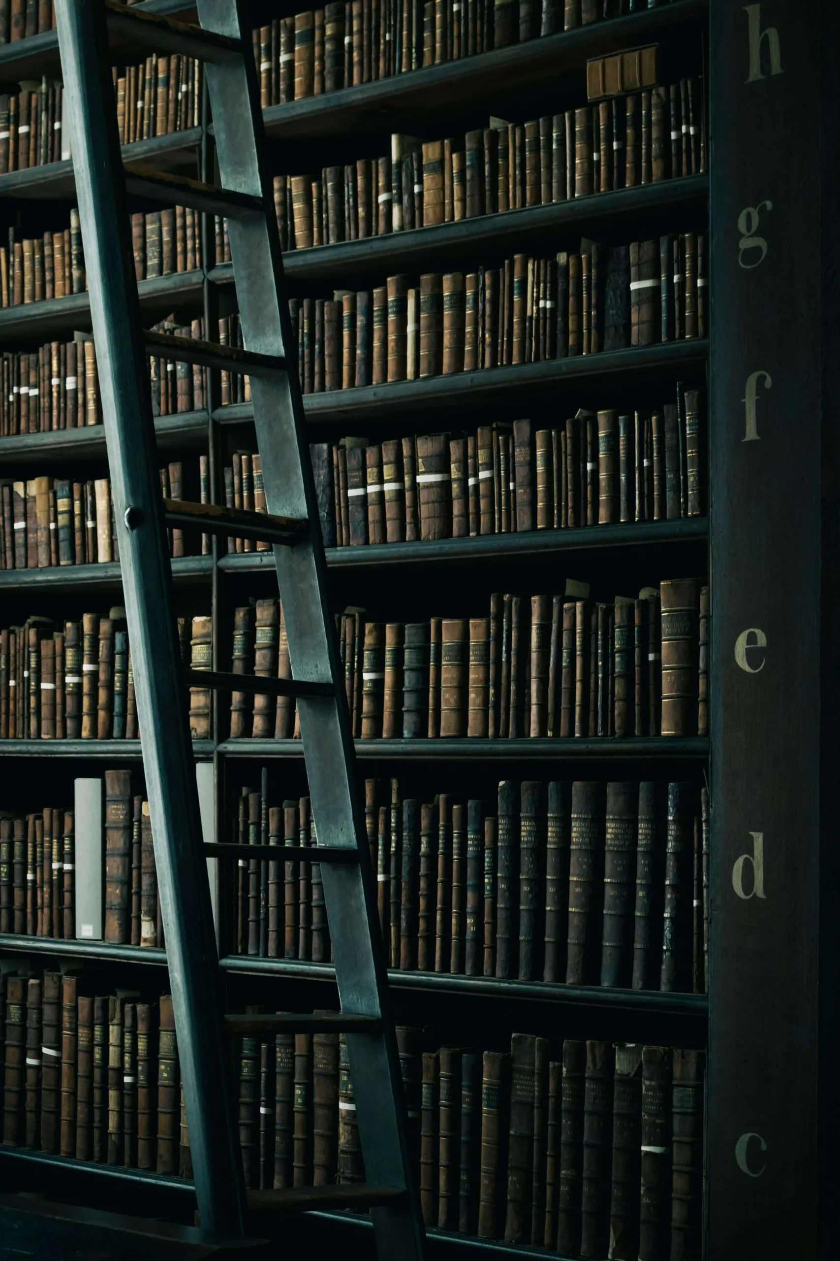 Una bellissima libreria a parete