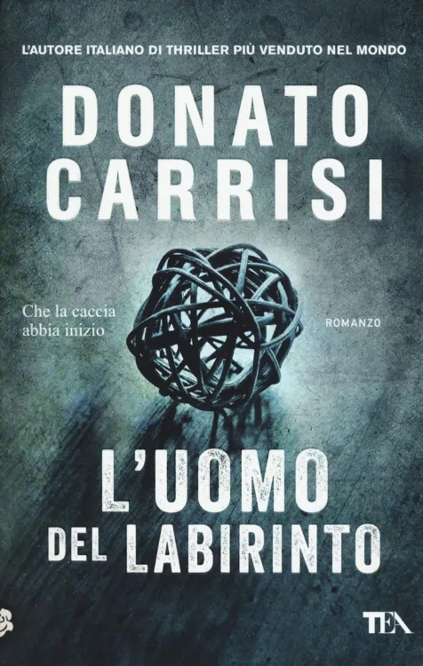 Copertina del libro L'uomo del labirinto